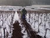 Mise en place des mulchs d'écorces en hiver