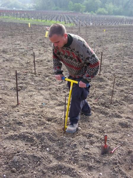 Plantation nouvelle - A la fourchette