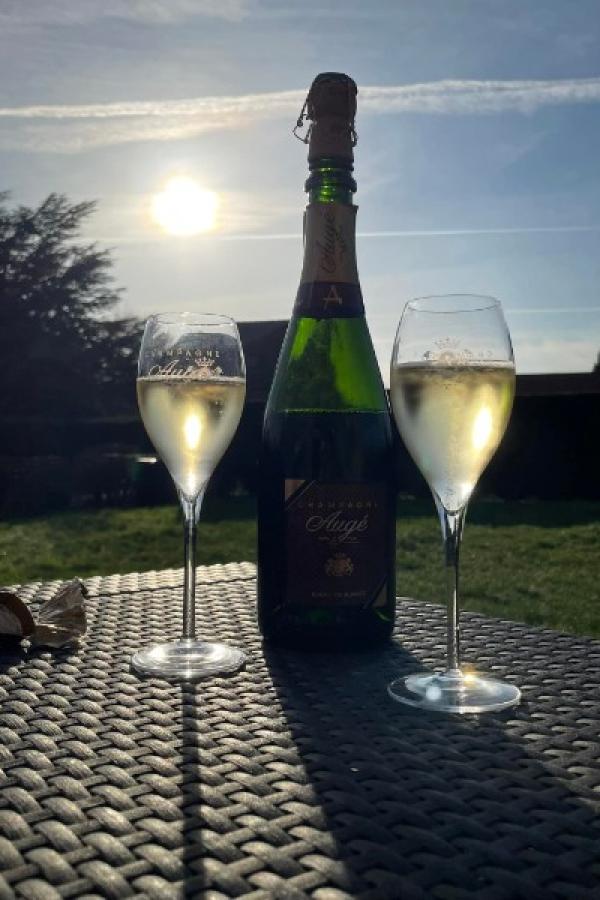 Soleil, jardin, détente et évidemment ... champagne !