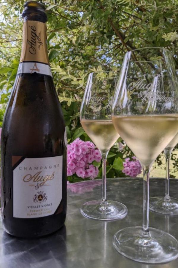 Sous un arbre, à l'ombre en forte chaleur notre champagne vous accompagne